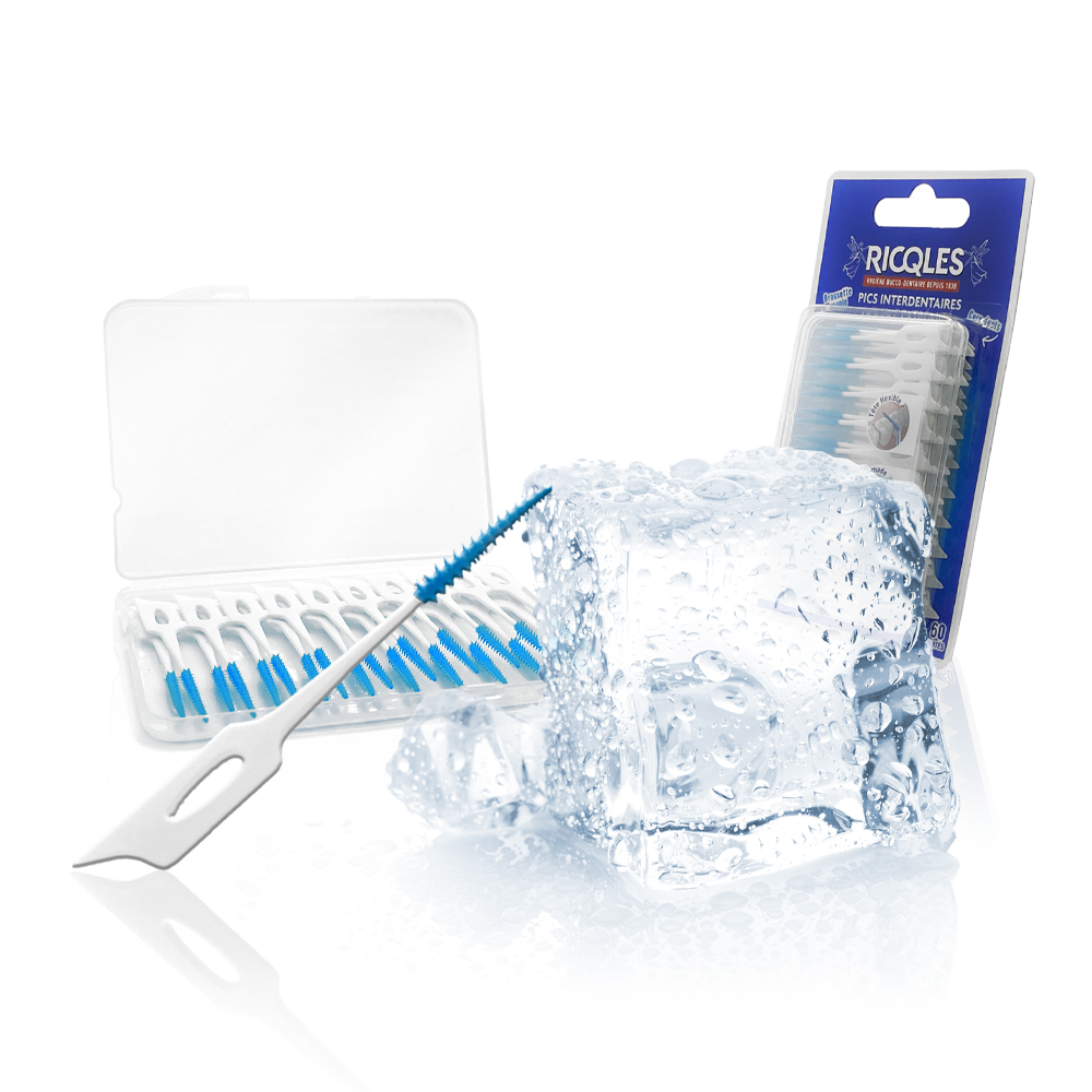 dent modèle de dentaire un appareil dentaire avec Inter dentaire les dents  nettoyage brosse 27490191 Photo de stock chez Vecteezy